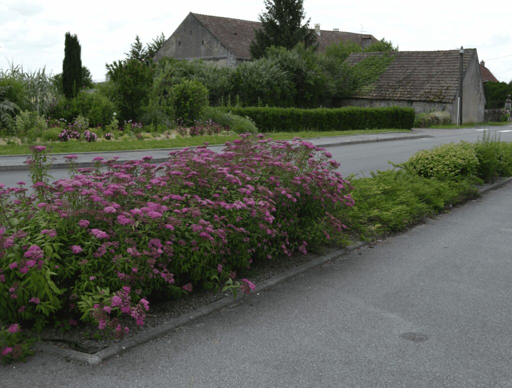 Paysagiste Louhans Saône et Loire